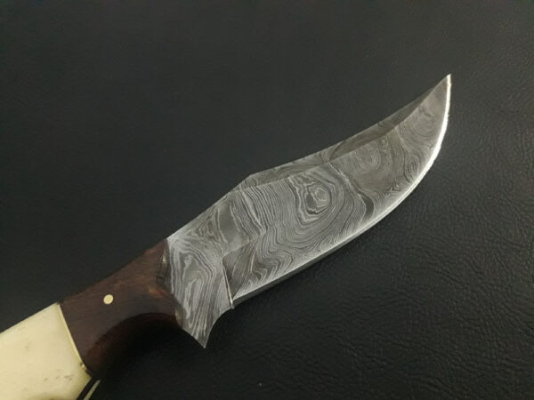 Skinner Knives-5804 - Image 4