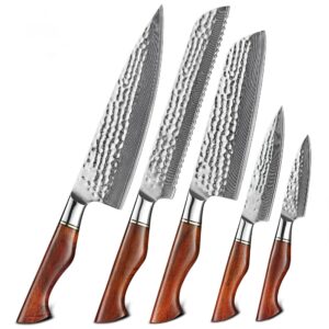 Chef Knives Set-5810